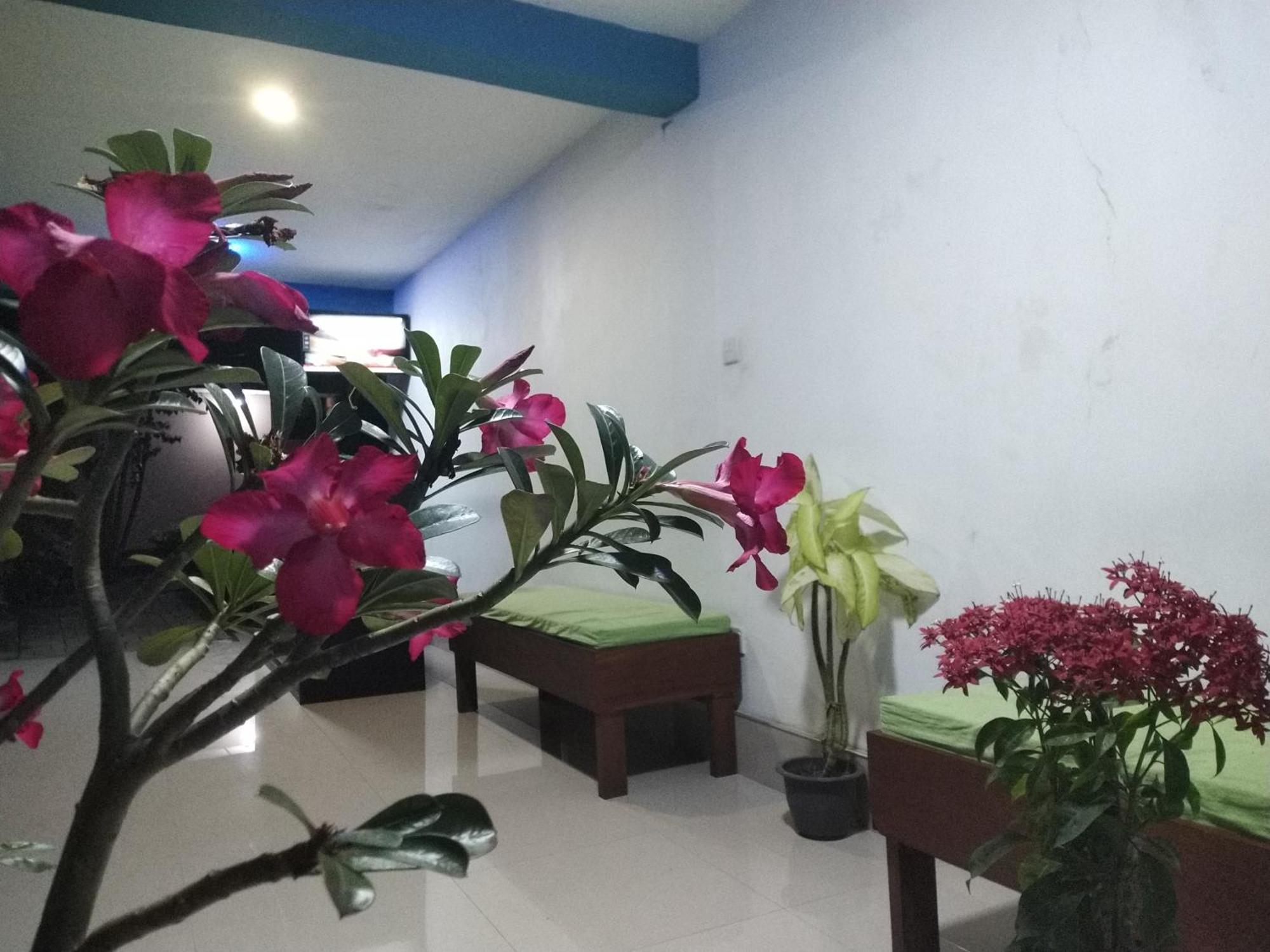 Blue Bell Hotel Negombo Eksteriør bilde