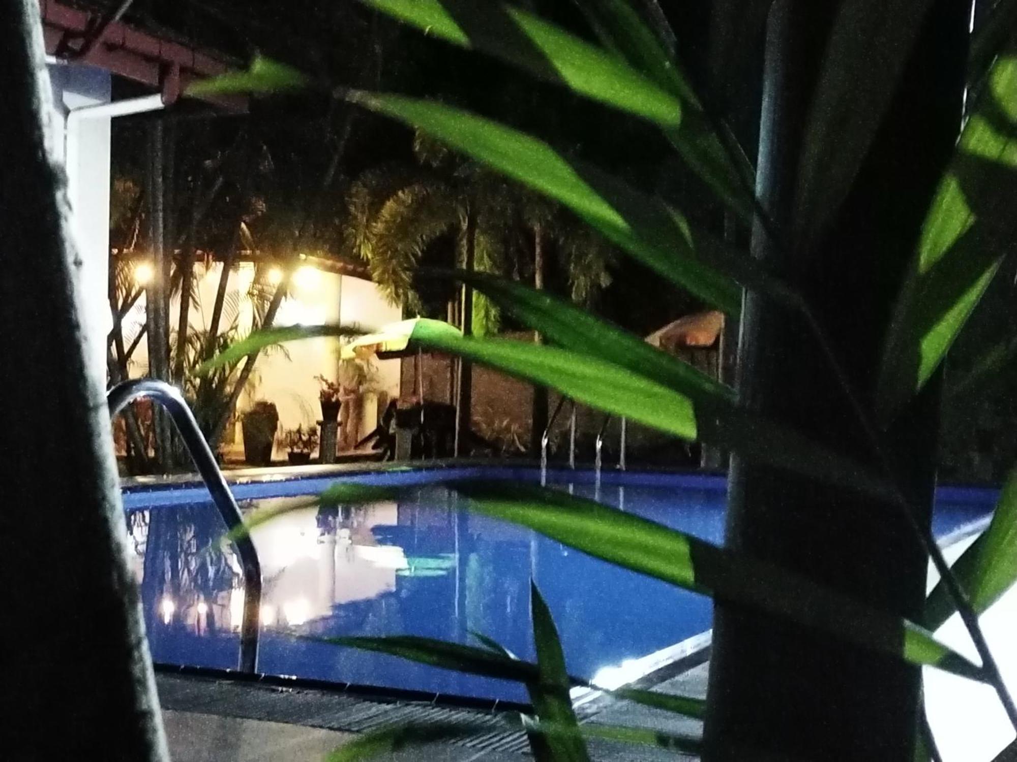Blue Bell Hotel Negombo Eksteriør bilde